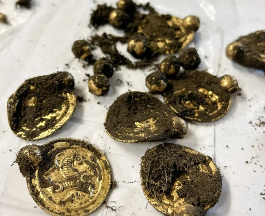 Đang đi chơi, người đàn ông nhặt được