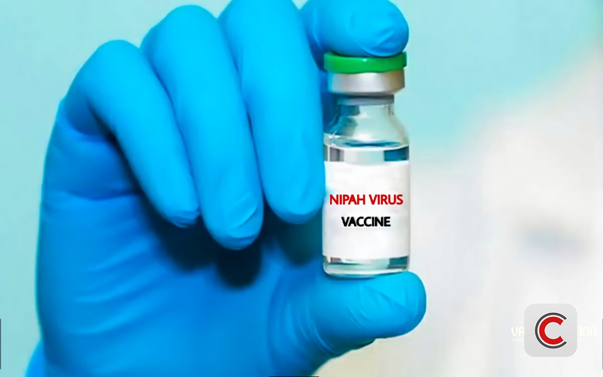 Nipah: Tại sao dịch bệnh có tỷ lệ tử vong 40-75% vẫn chưa có vaccine sau 20 năm phát hiện?- Ảnh 1.