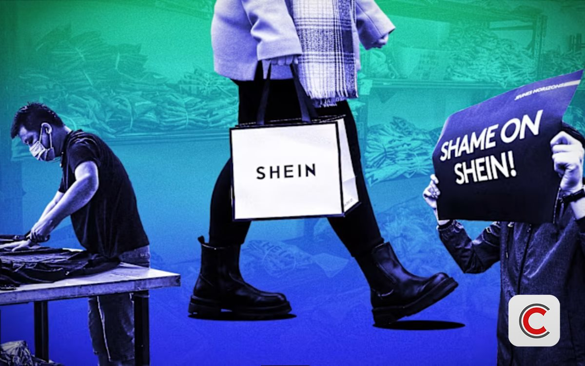 Hãng thời trang nổi tiếng bị hải quan truy quét thuế, 300.000 kiện hàng bị kiểm tra, đối mặt án phạt tiền tỷ- Ảnh 1.