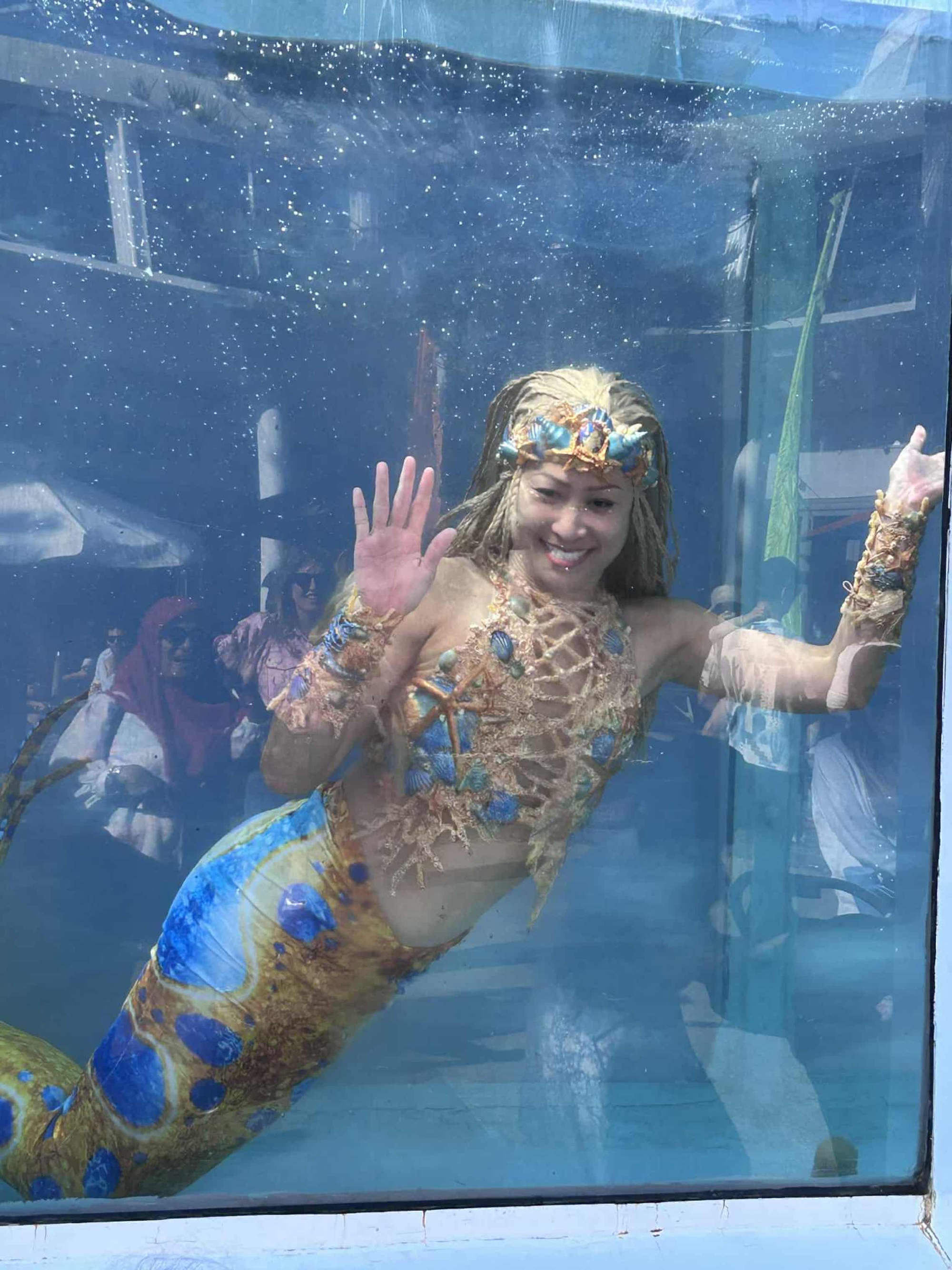 Gặp gỡ nàng tiên cá- Ảnh 5. Gặp gỡ nàng tiên cá- Ảnh 5.