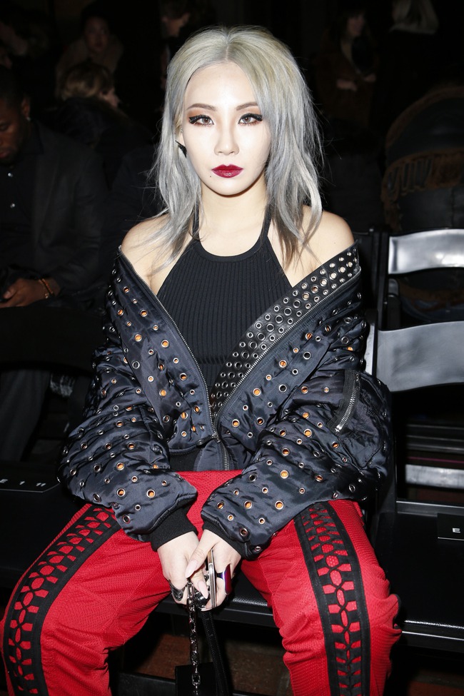 Mới nhất vụ “thánh sống” Kang Dong Won và mỹ nhân 2NE1 bị điều tra khẩn cấp- Ảnh 2.