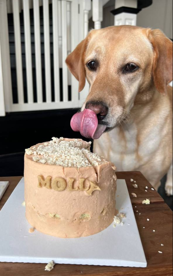 Khoảnh khắc nhớ mãi của Tăng Thanh Hà- Ảnh 3.