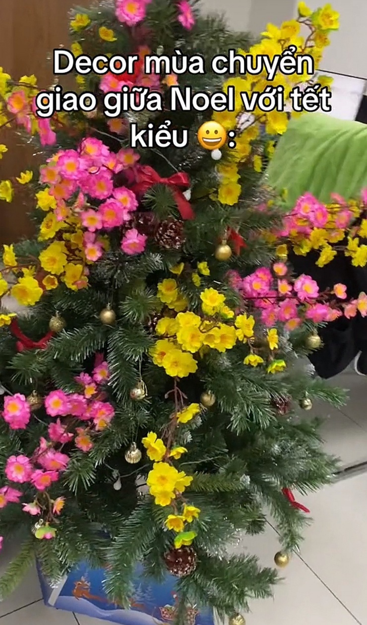 Cây thông cùng hoa mai, hoa đào cho nhân đôi tinh thần dịp lễ. Nguồn: @mychafjais