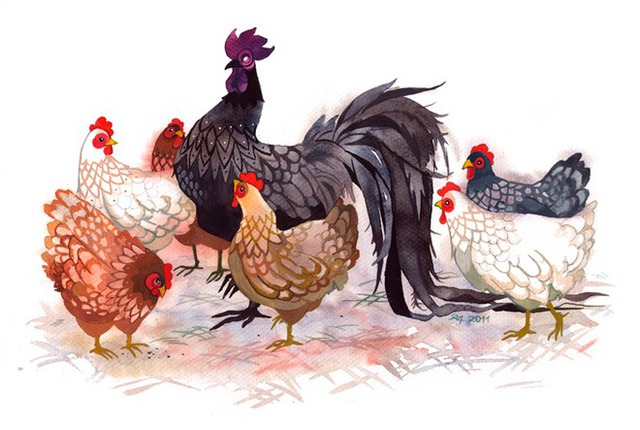 1766813103-tuoi-dau-3-50178-width640height430 Để giữ gìn hạnh phúc, tuổi Dậu cần học cách lắng nghe, đặt mình vào vị trí của đối phương. Ảnh minh họa