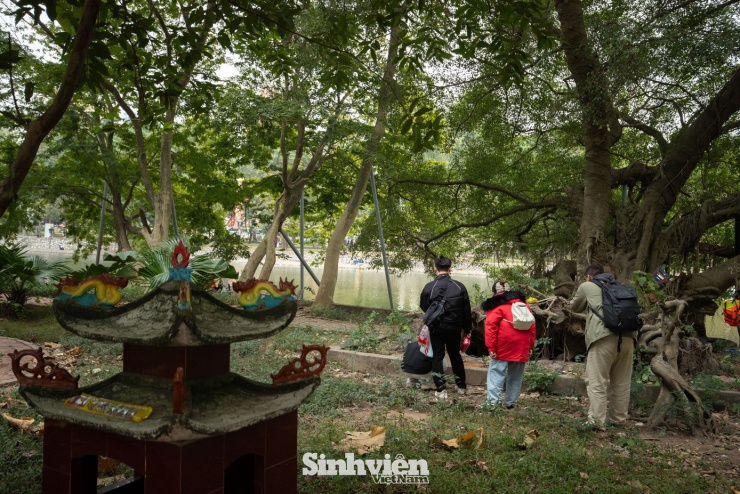 Sự thật về ‘đảo mèo’ nằm giữa hồ Bảy Mẫu, công viên Thống Nhất - 9