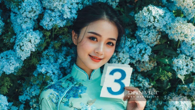 Con số may mắn hôm nay 31/12 của con giáp tuổi Mão: 3 và 8. Màu sắc may mắn: Xanh lam và xanh ngọc