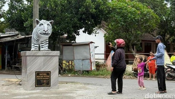 Ai đến đây cũng chụp ảnh hổ trắng. Ảnh: Detik.