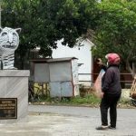 Tượng hổ trắng ở Indonesia gây chú ý vì ngoại hình độc lạ: Ngựa vằn lai hà mã? 1767167925 front width900height506