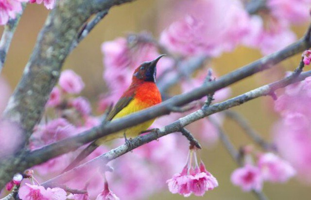 Chính sự hào sảng và biết nghĩ xa giúp tài lộc của người có ngày sinh Âm lịch kết thúc bằng số 9 không ngừng sinh sôi, vừa giàu vật chất vừa giàu phúc đức. Ảnh minh họa