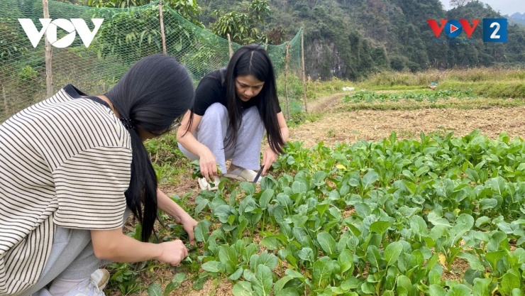 Cuộc sống tự cấp tự túc khi chọn