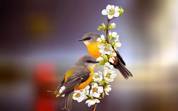 1768203976-ngay-sinh-4-94530-width586height366 Người sinh ngày 28 mang trong mình năng lượng của các mối quan hệ và quyền lực tài chính. Ảnh minh họa