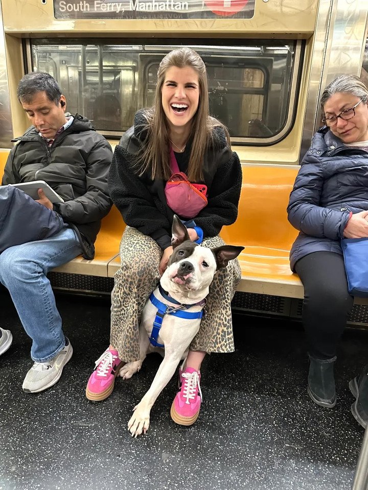 Cole Reifsnider cũng đồng tình với ý kiến cho rằng chó con là người bạn đồng hành tuyệt vời khi không có nhu cầu hẹn hò.