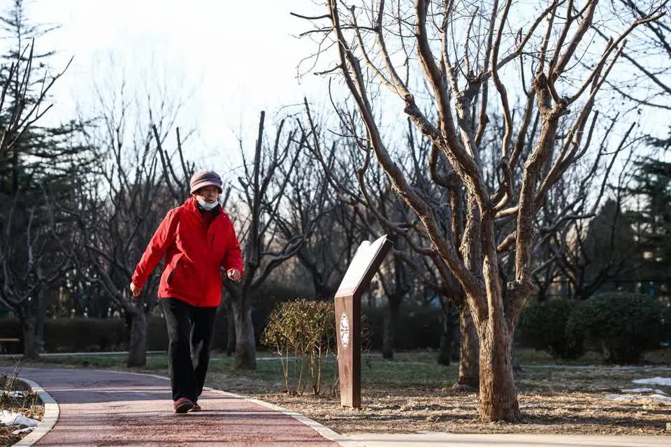 "Này, còn sống không?": Ứng dụng hỏi thăm mỗi ngày và nỗi lòng của những người trẻ chọn lối sống "độc thân toàn thời gian" 17682969795431072908751 1768362356462 17683623569351651399259
