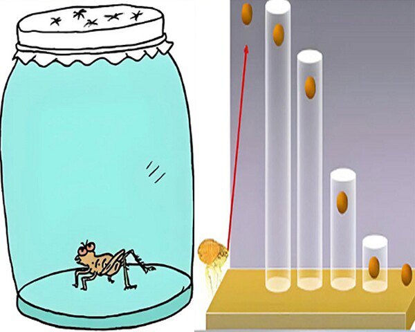 Tại sao bạn nỗ lực mãi không giàu?: Hãy đọc 7 quy luật này trước khi quá muộn - 5