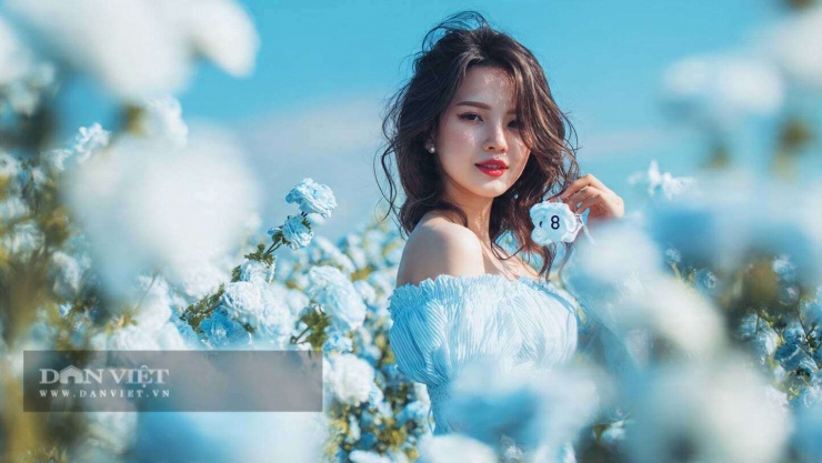 Con số may mắn hôm nay 24/1 của con giáp tuổi Dậu: 3 và 8. Màu sắc may mắn: Xanh nhạt và xám