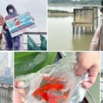 Gen Z làm 'Đường Táo Quân' gìn giữ Tết xưa 1770630155 328 thumbnail width740height495 anh cat 3 2 auto cropjpg