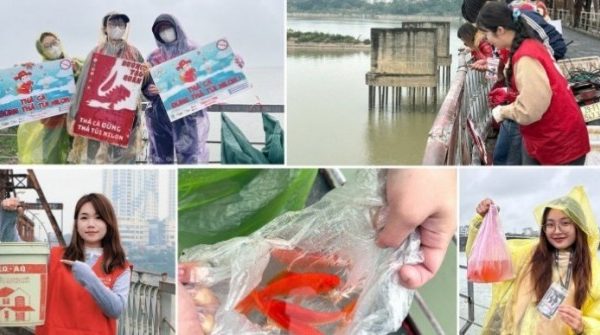 Gen Z làm 'Đường Táo Quân' gìn giữ Tết xưa 1770630155 328 thumbnail width740height495 anh cat 3 2 auto cropjpg