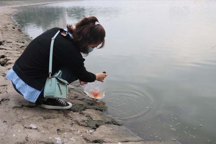 1770683927-tha-ca-vang-8-3-14887-width960height640 Nhiều người băn khoăn làm sao để thả cá ngày ông Công ông Táo về chầu trời cho đúng cách. Ảnh: Hồng Nhật