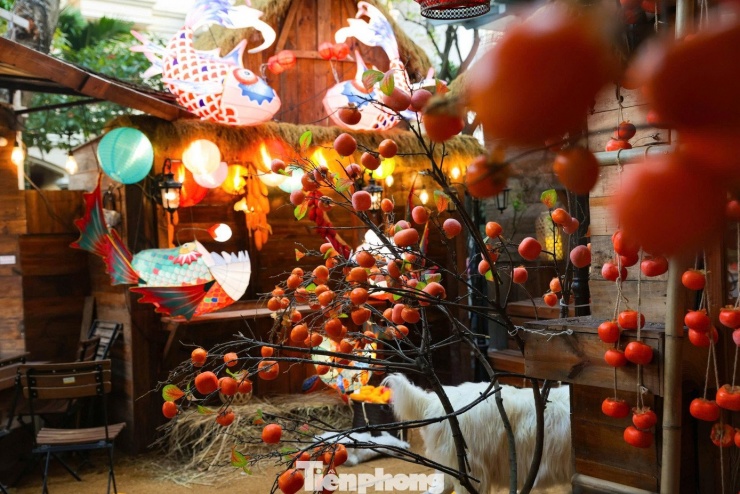 1770946485-tp-h10-width1390height927-1 Giới trẻ Thủ đô check-in quán cà phê như ‘phim trường Tết’ - 2