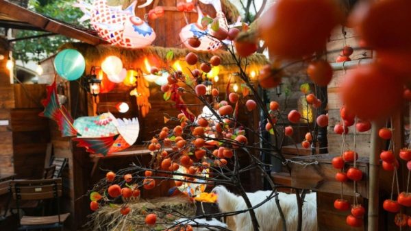 Giới trẻ Thủ đô check-in quán cà phê như ‘phim trường Tết’ 1770946485 tp h10 width1390height927