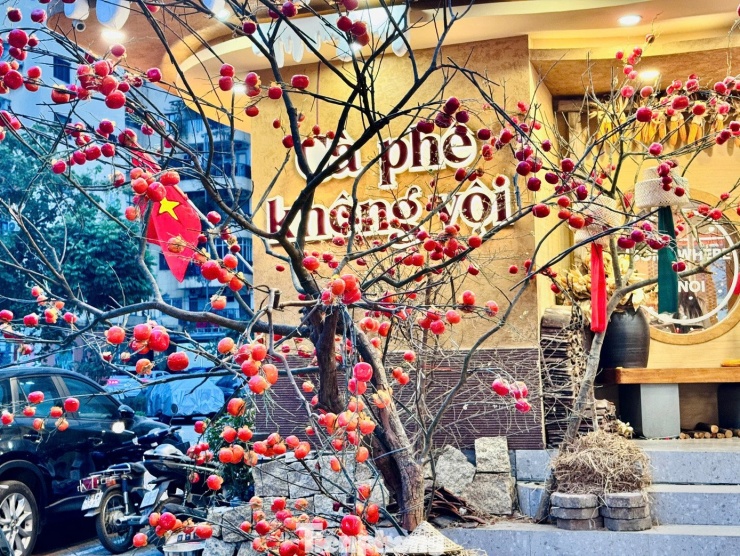 1770946488-tp-h2-width1390height1043 Giới trẻ Thủ đô check-in quán cà phê như ‘phim trường Tết’ - 7