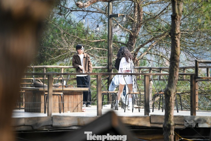 Giới trẻ lên núi uống cà phê, tận hưởng không khí đầu năm - 9