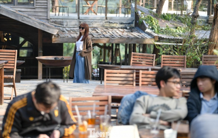 Giới trẻ lên núi uống cà phê, tận hưởng không khí đầu năm - 12