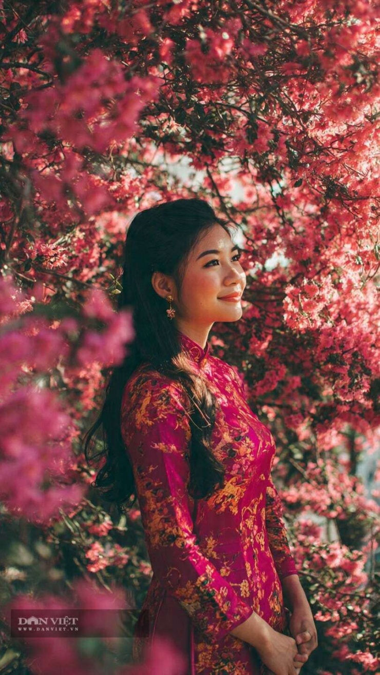 Con số may mắn hôm nay 21/2 của con giáp tuổi Ngọ: 7 và 8