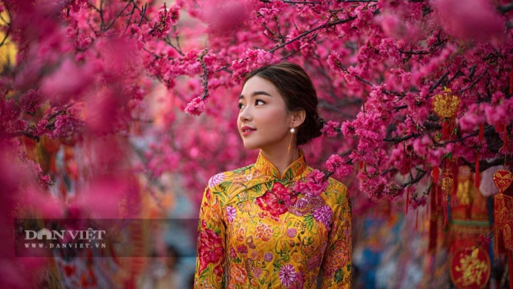 Con số may mắn hôm nay 21/2 của con giáp tuổi Mùi: 2 và 5