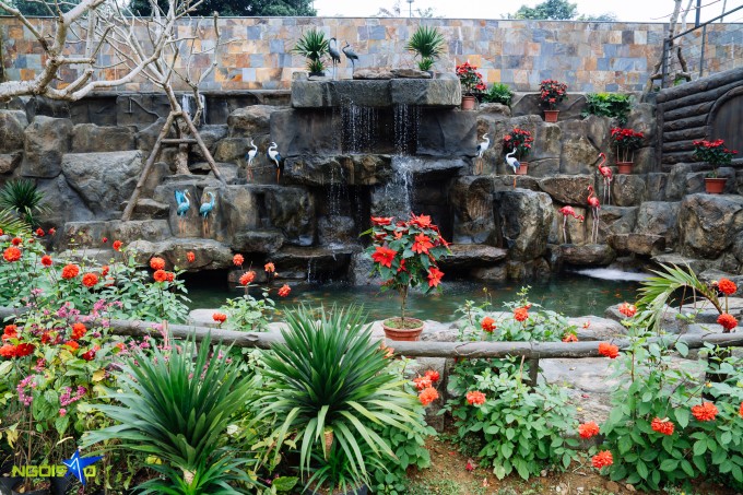 1771644795-dsc09424-9049-9409-8801-width680height453 Ao cá, vườn hoa trong biệt phủ 10.000 m2 của Phạm Phương Thảo - 4