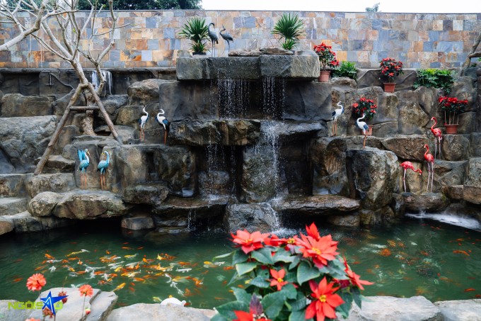 1771644795-dsc09426-9049-4046-8800-width680height453 Ao cá, vườn hoa trong biệt phủ 10.000 m2 của Phạm Phương Thảo - 2