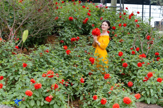 1771644796-dsc09339-1000-7355-8803-width680height453 Ao cá, vườn hoa trong biệt phủ 10.000 m2 của Phạm Phương Thảo - 13