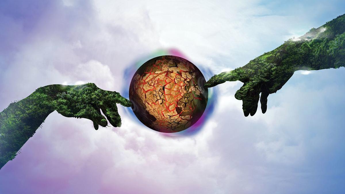 Đừng vội tin vào mắt mình, hàng ngàn loài động vật đang đội lốt nhau để che giấu thân phận thật sự- Ảnh 3.