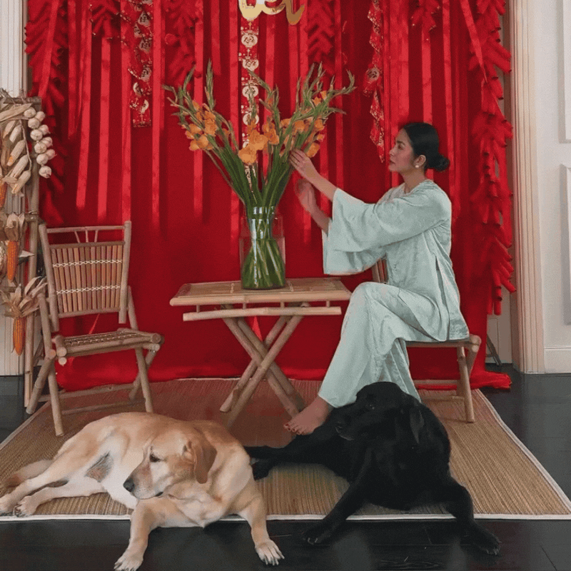 Khoảnh khắc nhớ mãi của Tăng Thanh Hà- Ảnh 7.