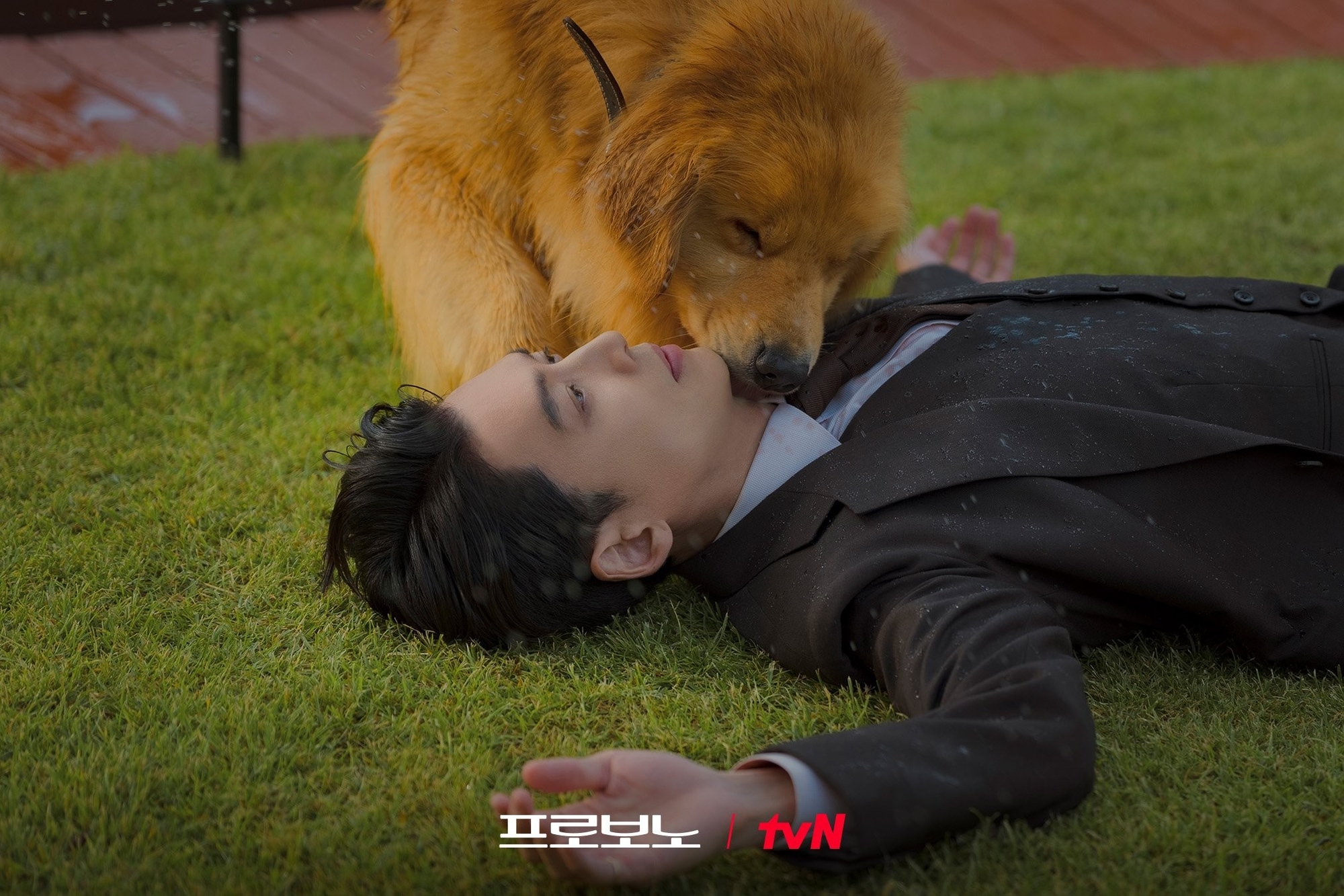 Sợ đầu voi đuôi chuột thì quất ngay phim Hàn này: Kịch bản cua khét lẹt quá đã, nam chính chưa từng gây thất vọng- Ảnh 1.