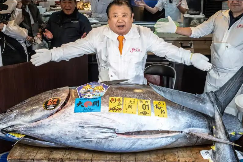 Cận cảnh con cá ngừ giá 83 tỷ đồng: Khi các đại gia Nhật Bản