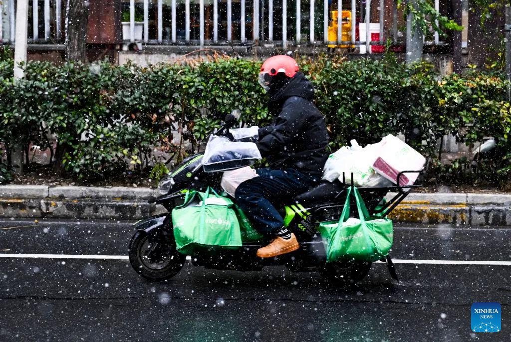 Rét đậm, bão tuyết diện rộng làm tê liệt nhiều nơi tại Trung Quốc- Ảnh 7.