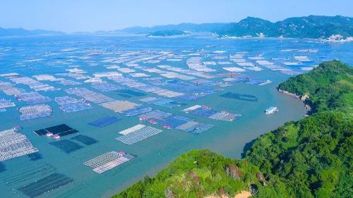 Âm thầm dưới đáy biển, Trung Quốc làm điều liên quan 1,4 triệu người: Chuyện gì đã xảy ra?- Ảnh 2. Âm thầm dưới đáy biển, Trung Quốc làm điều liên quan 1,4 triệu người: Chuyện gì đã xảy ra?- Ảnh 2.