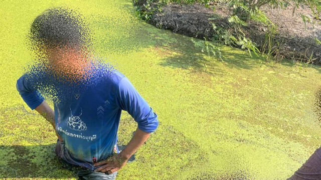 Không được ai trông nom, đứa trẻ hơn 1 tuổi tự đi ra khỏi nhà, 1 lúc sau thì gia đình nghe tin dữ- Ảnh 1.