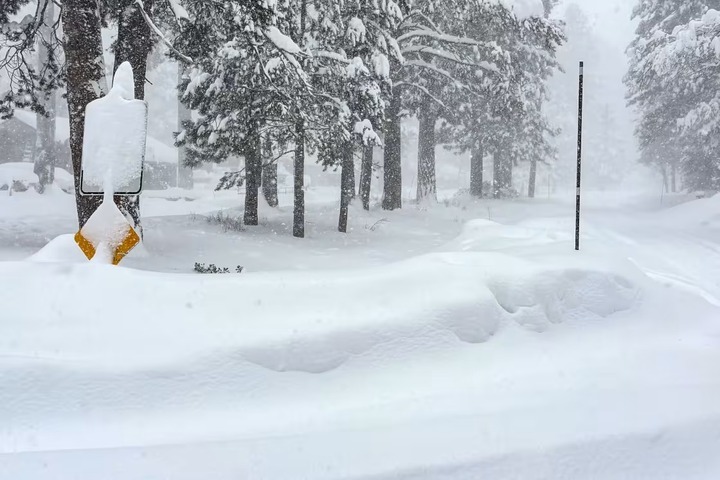 Lở tuyết ở Mỹ, 8 người thiệt mạng- Ảnh 1.