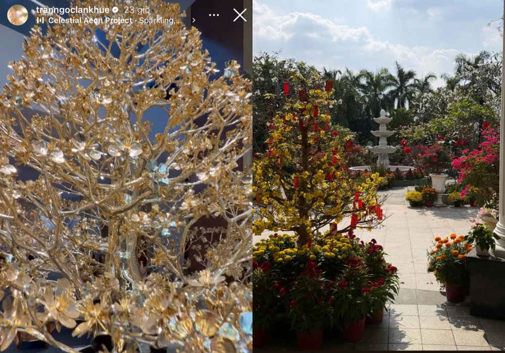 Đường đua dâu hào môn Vbiz ngày 29 Tết: Tăng Thanh Hà khoe mâm cúng tôm hùm, Lan Khuê và hội mỹ nhân thi nhau flex nhà cửa ngập hoa- Ảnh 2.