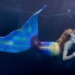 Gặp gỡ nàng tiên cá 4672 176846502989531220558 1768487174006 1768487174329151158715 1768487256067939069877 84 0 1334 2000 crop 17684872619611989621064jpg