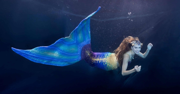 Gặp gỡ nàng tiên cá 4672 176846502989531220558 1768487174006 1768487174329151158715 1768487256067939069877 84 0 1334 2000 crop 17684872619611989621064jpg