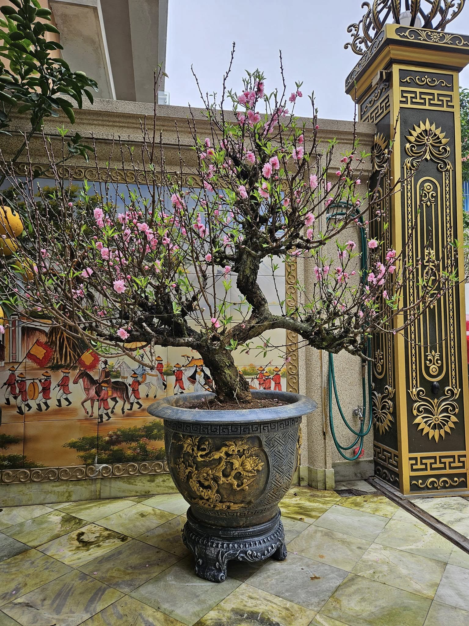 Nam NSND, đại tá lấy vợ diễn viên kém 13 tuổi, sở hữu biệt thự mặt tiền 4 tầng ở đường Xuân Đỉnh- Ảnh 4.