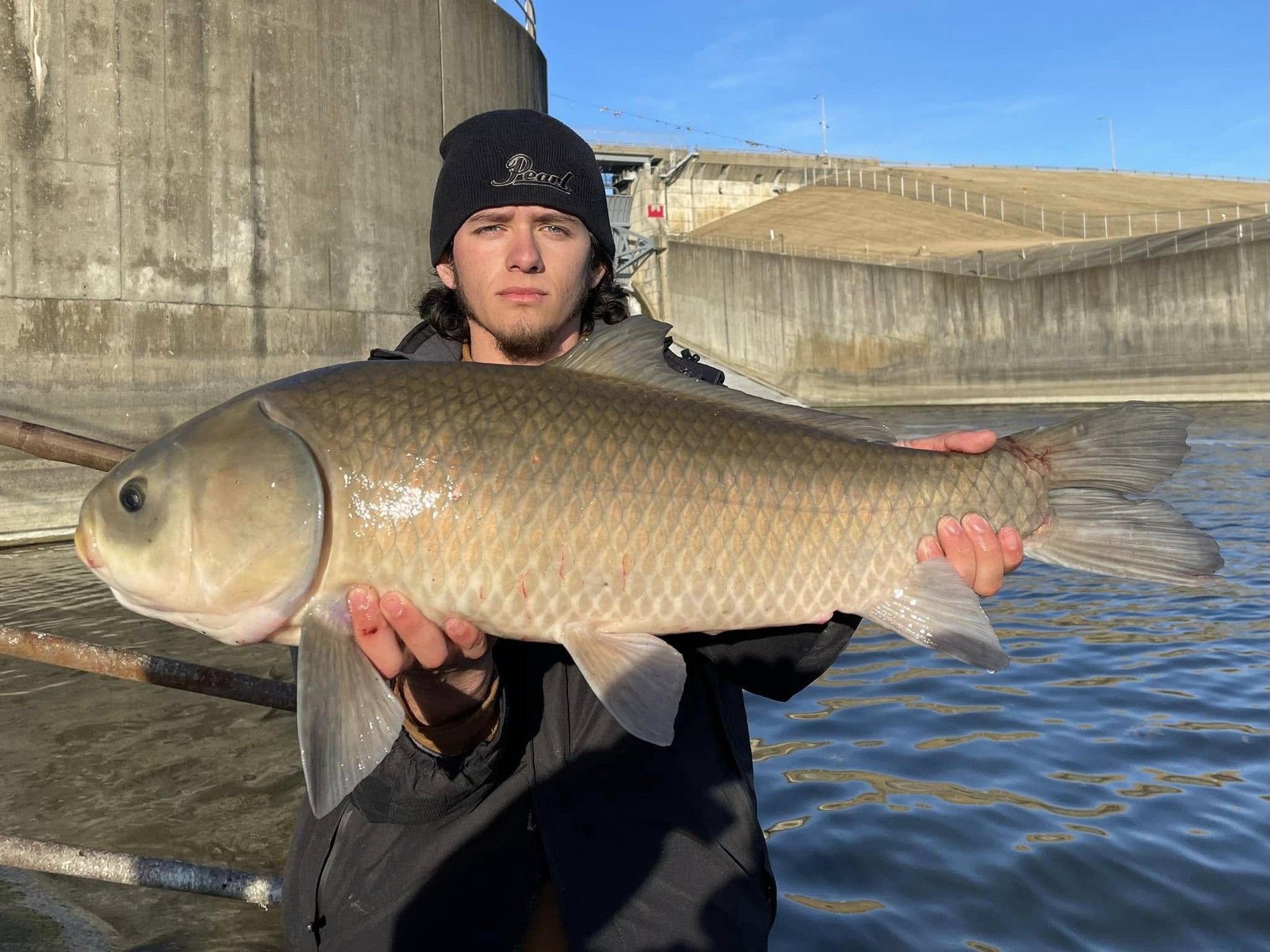 Sống hơn một thế kỷ, không lão hóa và nghịch lý sinh tồn của loài cá cổ đại Bắc Mỹ đang bị lãng quên- Ảnh 2.