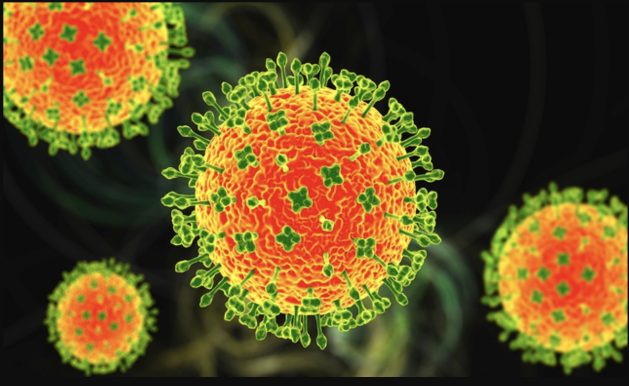 Toàn cảnh virus Nipah: Mối đe dọa âm ỉ khiến thế giới luôn trong trạng thái báo động- Ảnh 5. Toàn cảnh virus Nipah: Mối đe dọa âm ỉ khiến thế giới luôn trong trạng thái báo động- Ảnh 5.