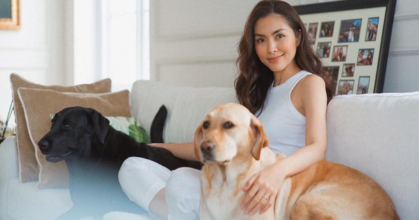 Khoảnh khắc nhớ mãi của Tăng Thanh Hà 571671124093333405873845833n 15671501930651147389631 mnzr 176604701534016132456851plra 1766053067764 1766053068600145184872 94 0 618 1000 crop 17660531454571339840145jpg