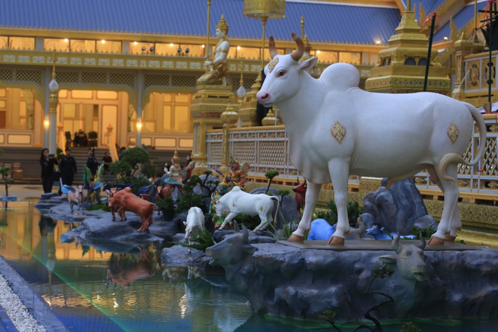 Tại sao người Thái Lan hầu như không ăn thịt bò?- Ảnh 2.