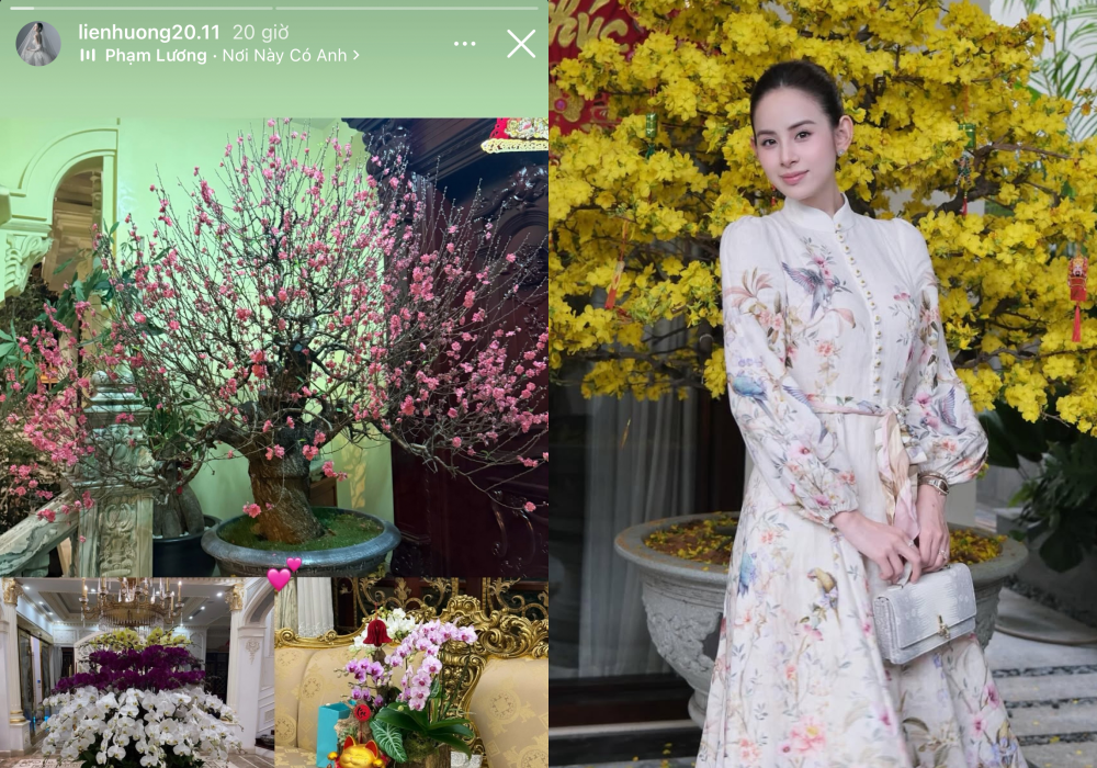 Đường đua dâu hào môn Vbiz ngày 29 Tết: Tăng Thanh Hà khoe mâm cúng tôm hùm, Lan Khuê và hội mỹ nhân thi nhau flex nhà cửa ngập hoa- Ảnh 8.