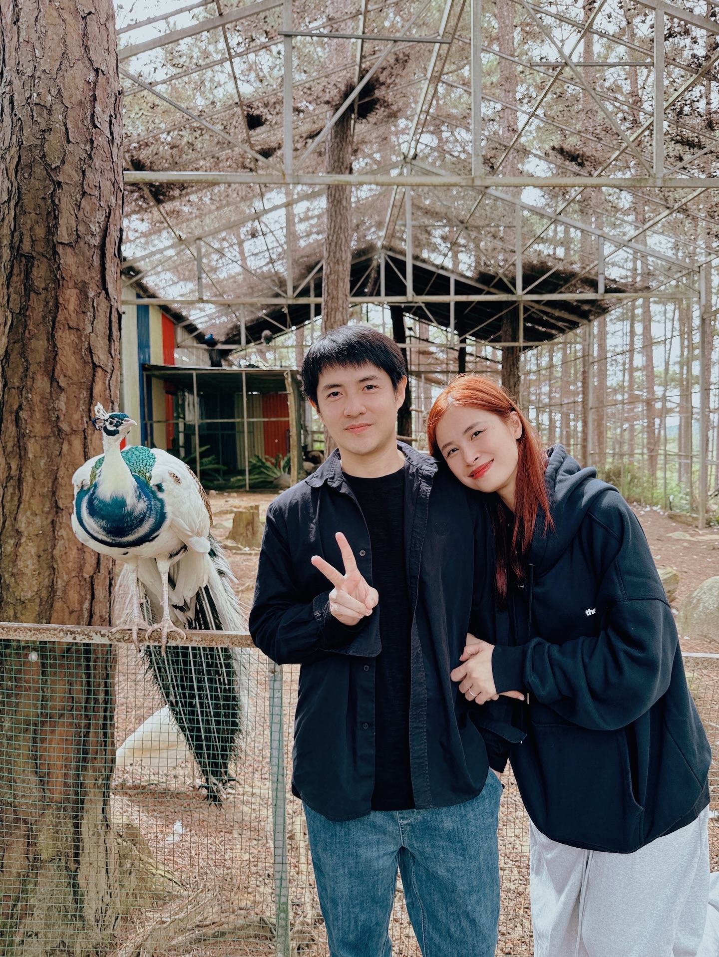 Tình hình hiện tại Đông Nhi - Ông Cao Thắng- Ảnh 5. Tình hình hiện tại Đông Nhi - Ông Cao Thắng- Ảnh 5.